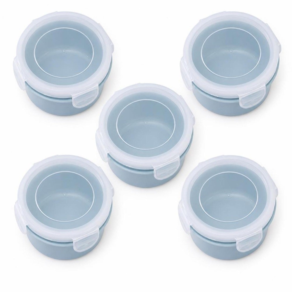 5 recipientes portátiles de pl - Food Storage Lock Box reseña y precio