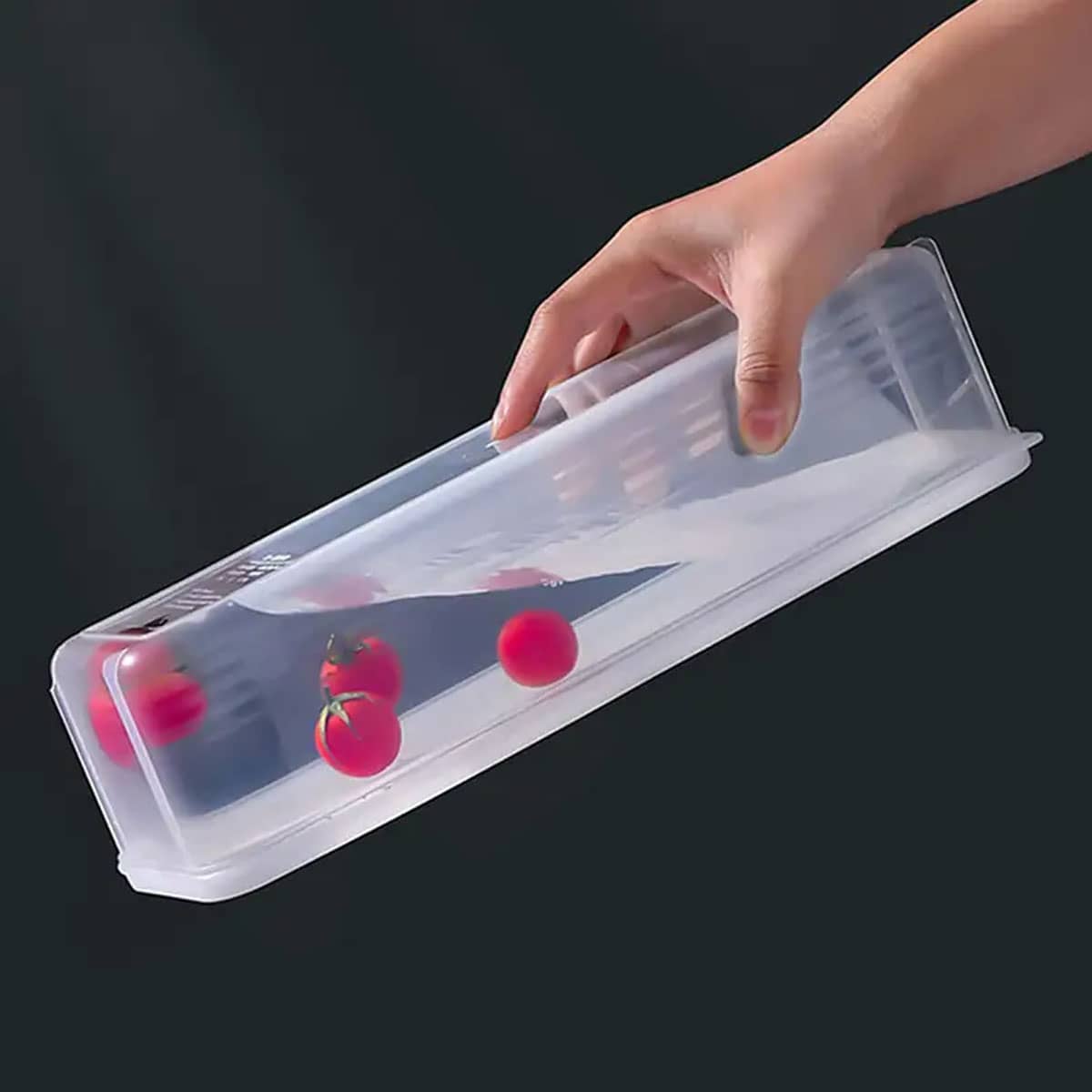 1 Caja de Almacenamiento Trans - Food Storage Boxes With Lids reseña y precio